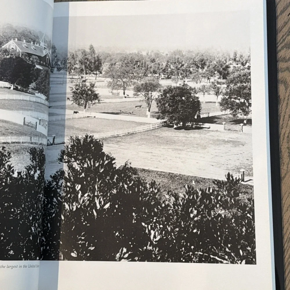 The Stanford Album: A Photographic History 1885-1945 University - Good Condition